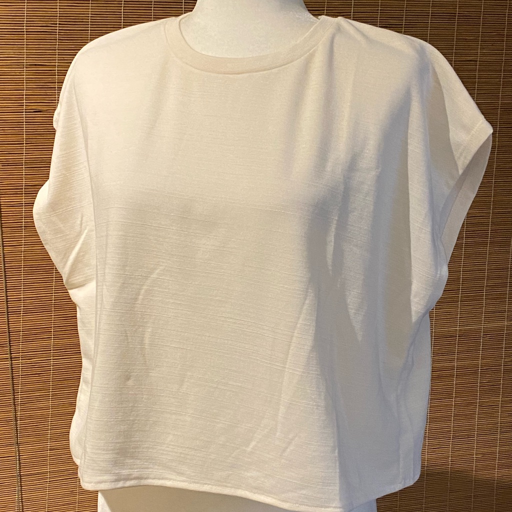 Zara (Basic) Cream Polyester Blouse Small